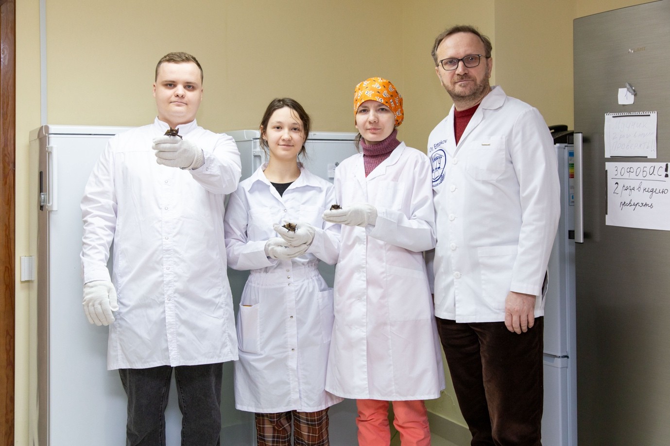 Коллектив центра реабилитации рукокрылых под руководством Алексея Михайловича Ермакова. Источник: Управление информационной политики ДГТУ, Павел Шаповалов