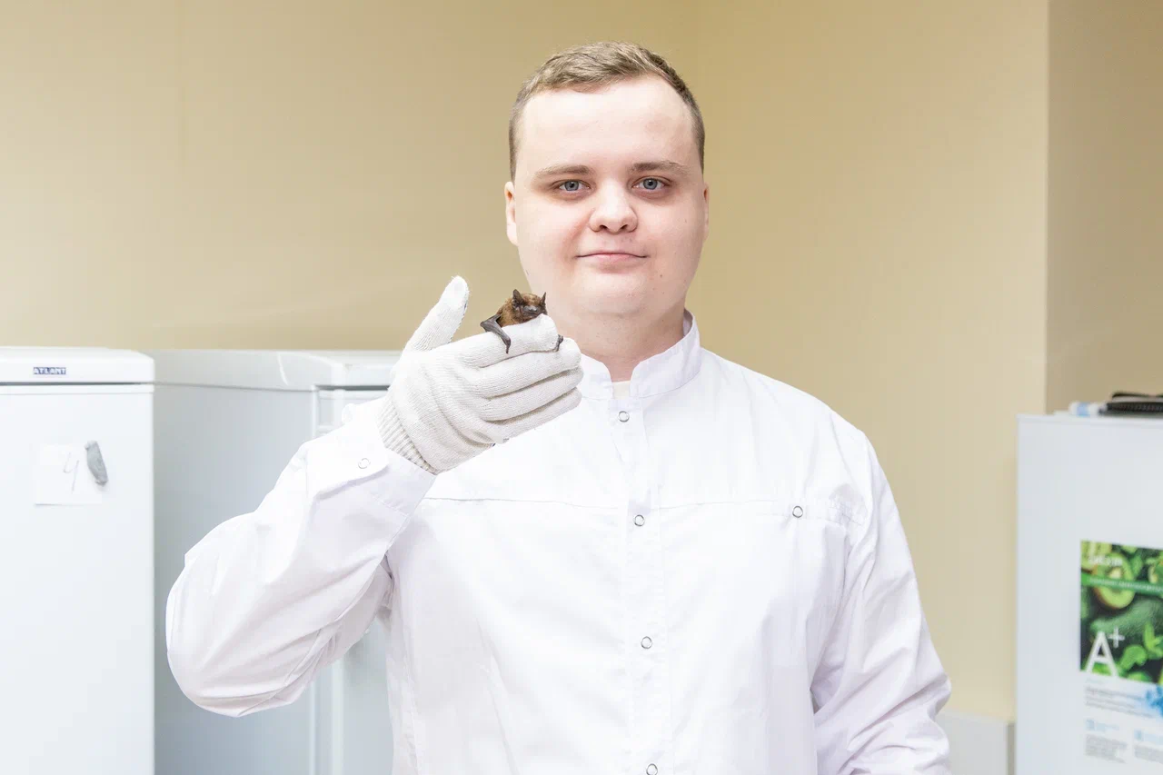 Игорь Попов, первый автор исследования, с реабилитируемой летучей мышью. Источник: Управление информационной политики ДГТУ, Павел Шаповалов