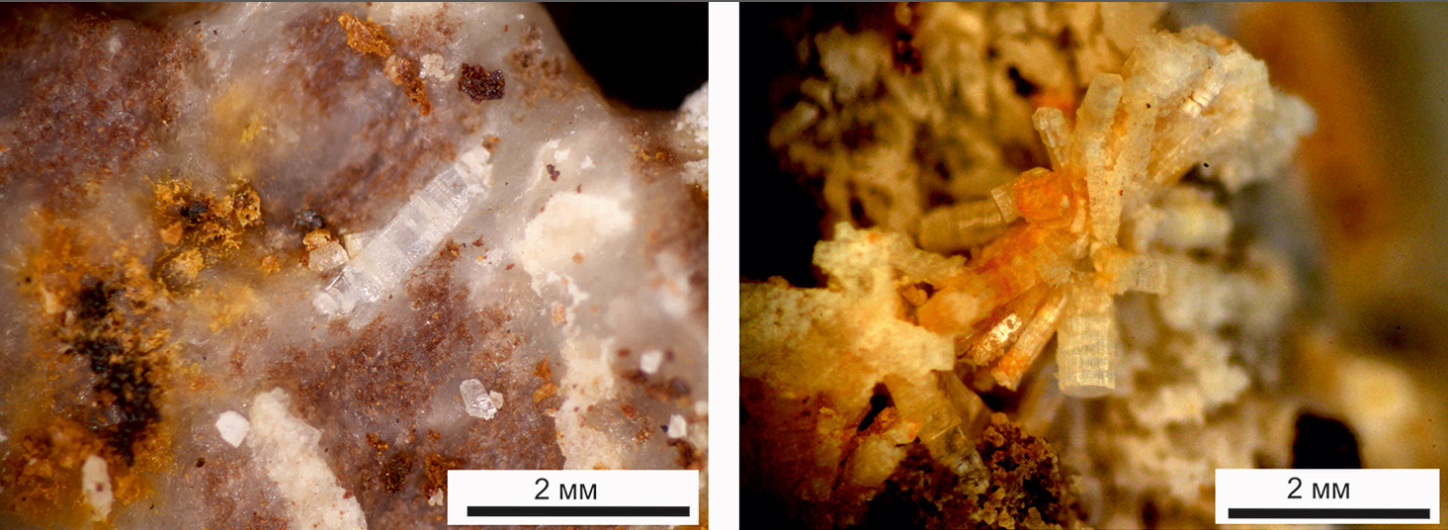 В рудах красноярского месторождения нашли новый источник ниобия