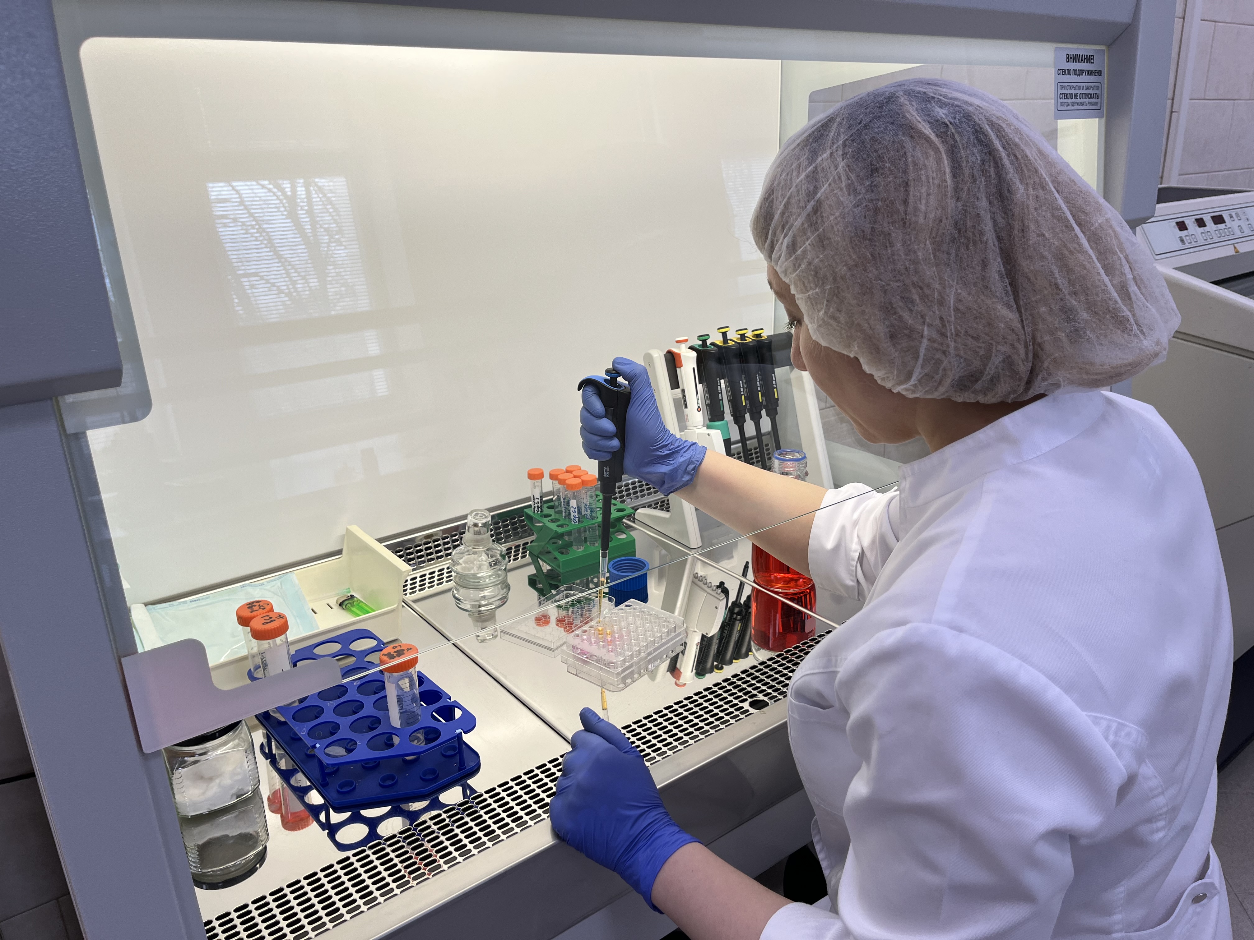 Исследователи усовершенствовали антибактериальное покрытие, тестирование показало его эффективность Исследователи опробовали новое антибактериальное покрытие