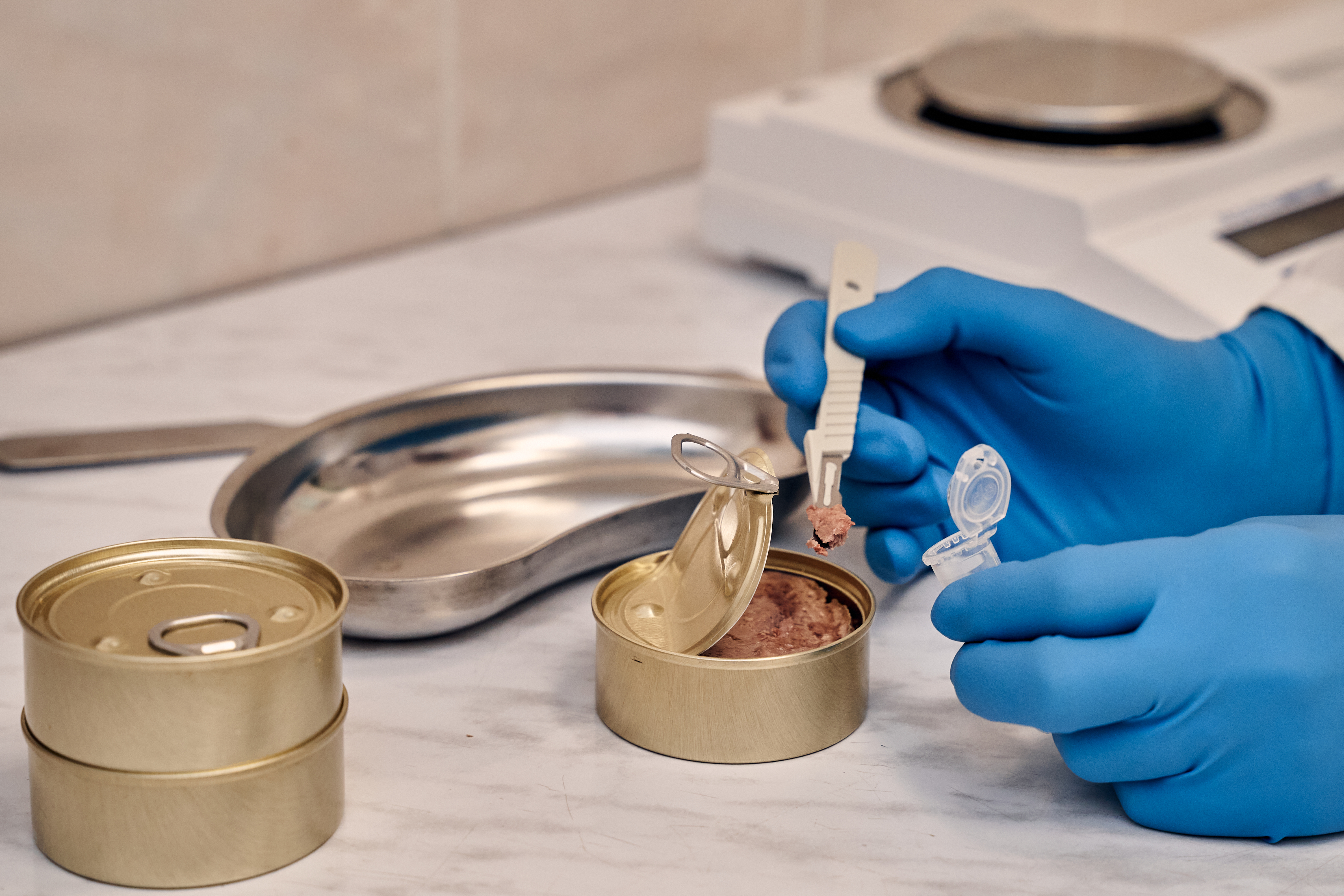 Паштеты и каши, разработанные учеными, помогут улучшить работу различных систем организма и станут профилактическим средством. Источник: Издательство «Редколлегия»