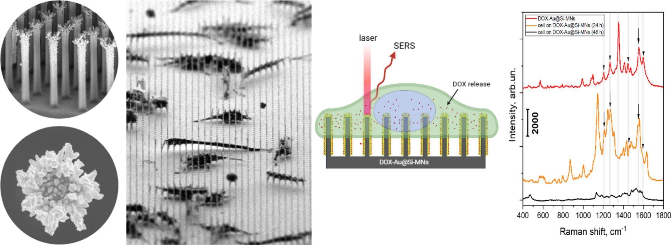 Графическое резюме исследования. Источник: Sobina et al / Microchemical Journal, 2025