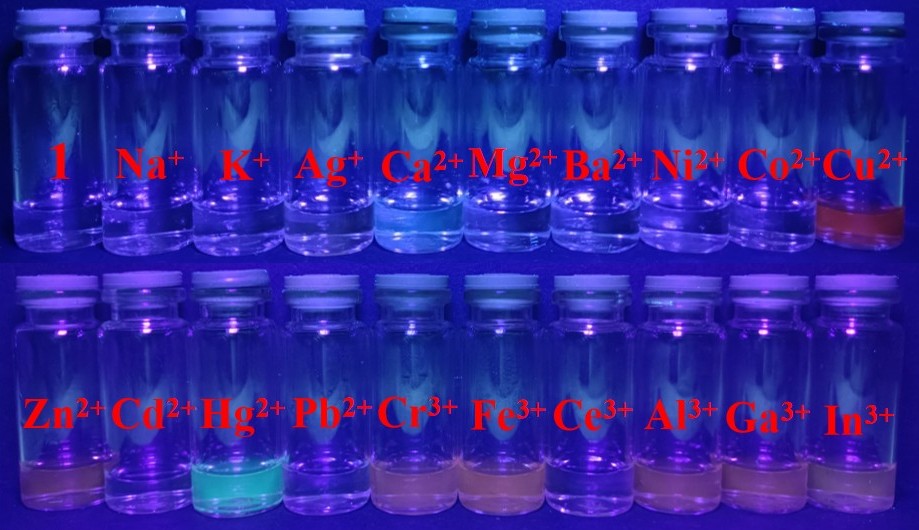 Фото растворов молекулярного зонда с различными катионами, сделанное под ультрафиолетовым светом. Источник: Максим Завалишин