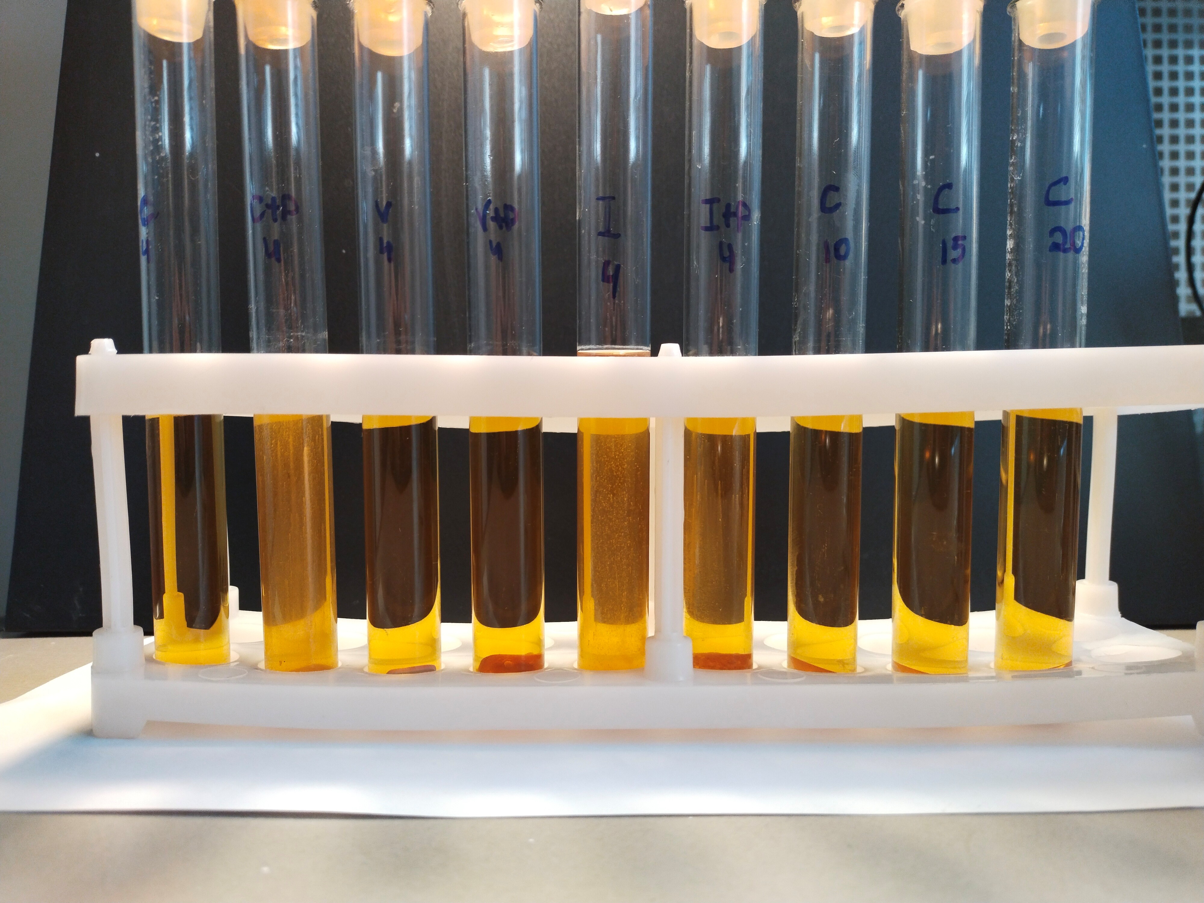 Тест на стерильность по мутности раствора. Источник: Екатерина Комарова