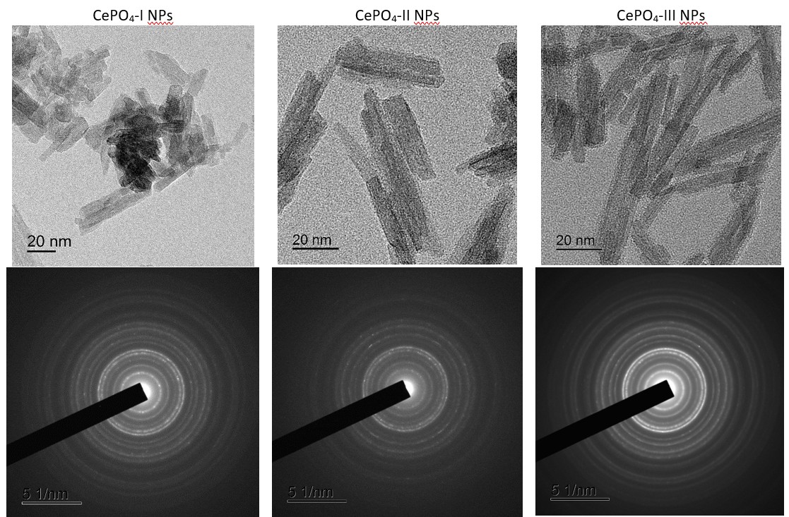 Изображения наночастиц под просвечивающим электронным микроскопом. Источник: Silina et al. / Molecules, 2025